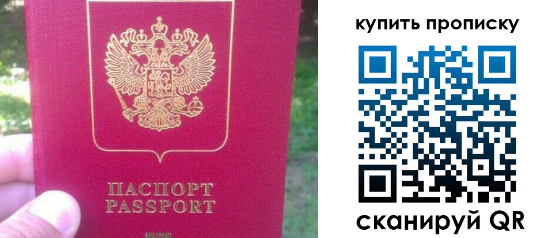 временная регистрация для школы в Светлограде